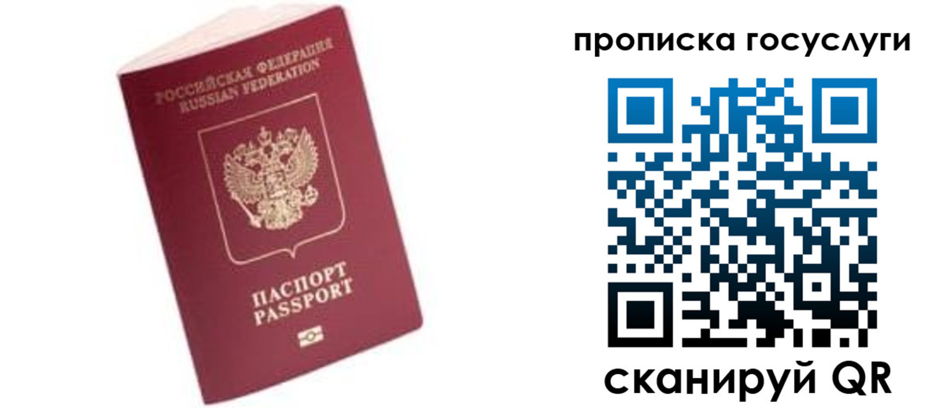 прописка в Ясном